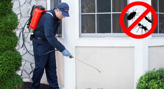 Harmandalı Karınca İlaçlama böcek ilaçlama ve haşere kontrolü — ilaclama-tr.com